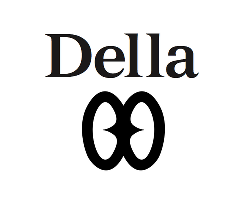 Все товары Della