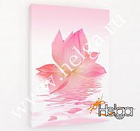 Купить Розовый лотос арт.ТФХf4833 фотокартина (Размер R1 40х60 ТФХ)