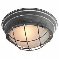 Купить Потолочный светильник Lussole Loft LSP-9881