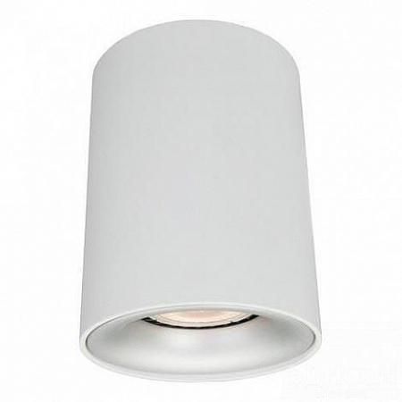 Купить Потолочный светильник Arte Lamp Torre A1532PL-1WH